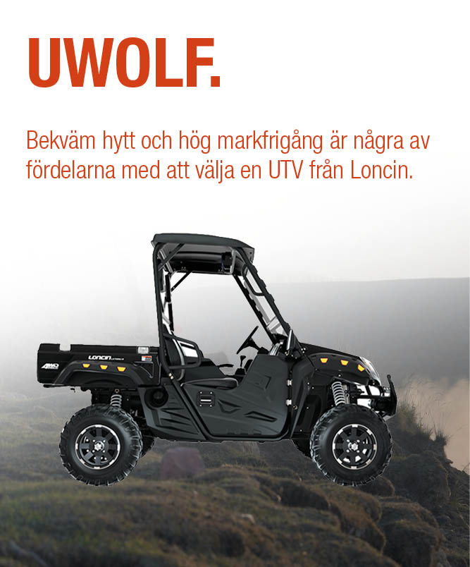 Loncin UWolf UTV 320x386 02.jpg