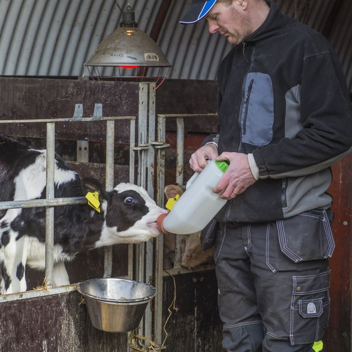 Mjölkflaska till kalv, 4,0 l med mjölknapp