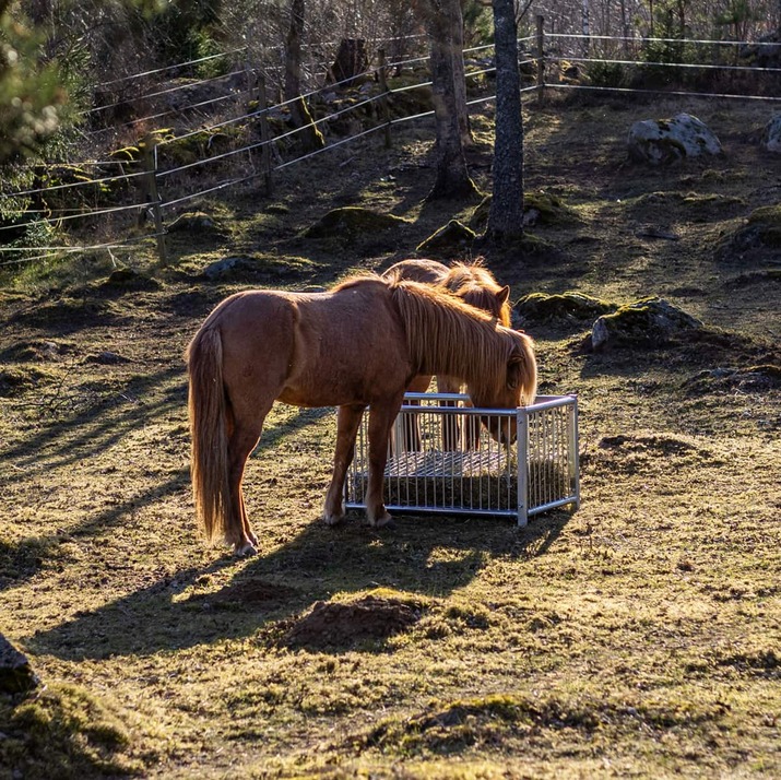 Foderbox för häst