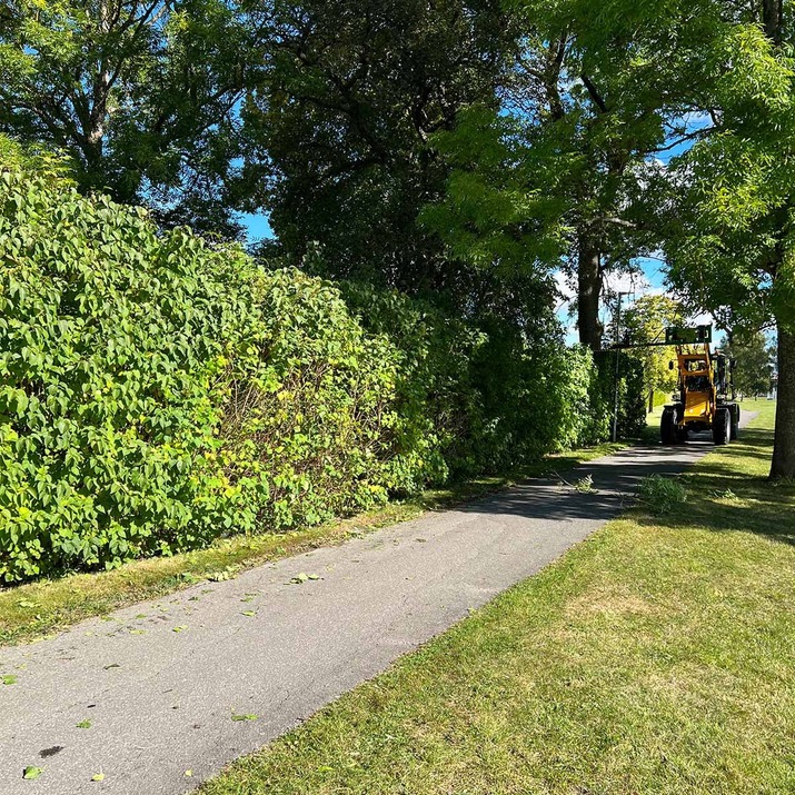 Häckklipp till frontlastare med bultat Trimafäste