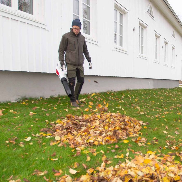 Lövblås, Lithium-ion 36V
