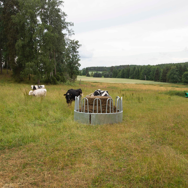 Foderhäck med bogstöd för nöt, 12 platser