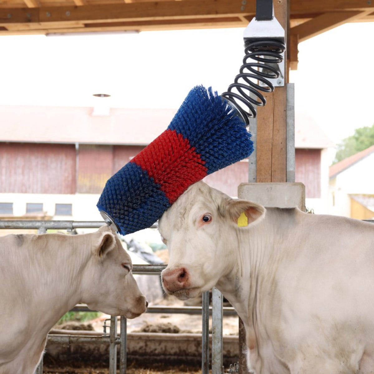 Koryktborste HappyCow FlexiSwing