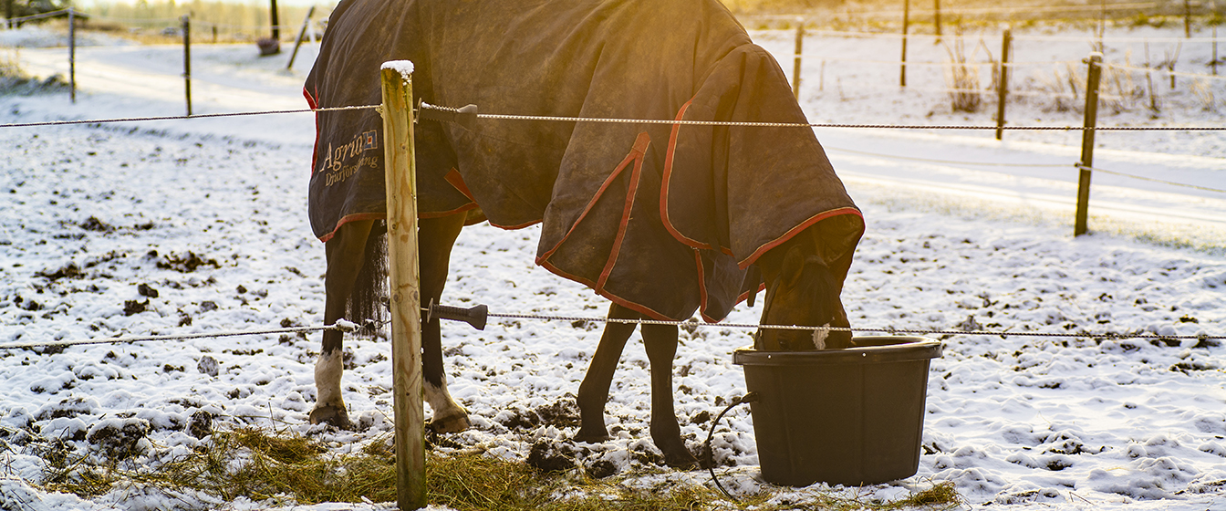 Färskt vatten varje dag