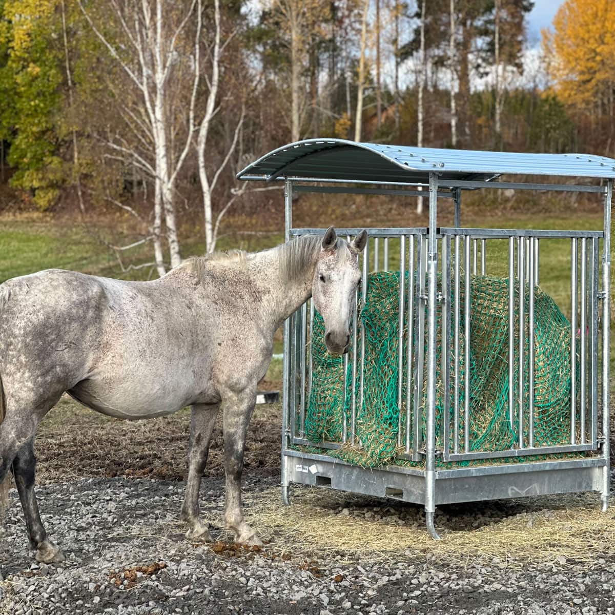 Hönät för rundbalar, 180 x 180 cm, SlowFeeder