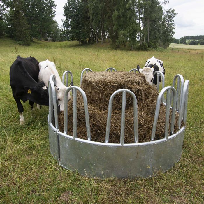 Foderhäck med bogstöd för nöt, 12 platser