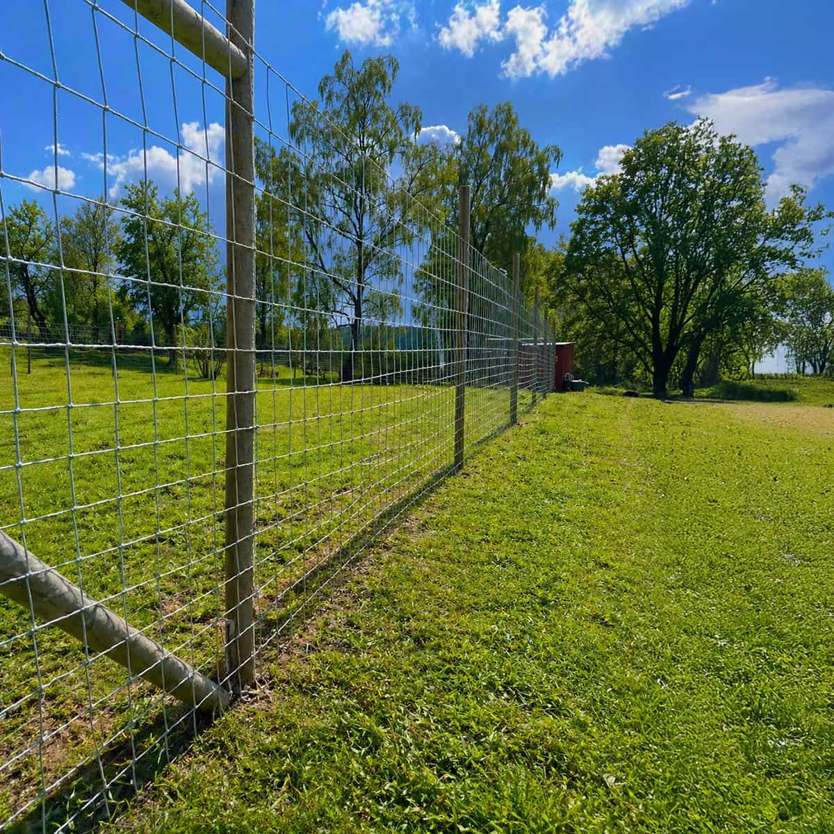 Viltstängsel 100 m x 2.0 m x 2 mm