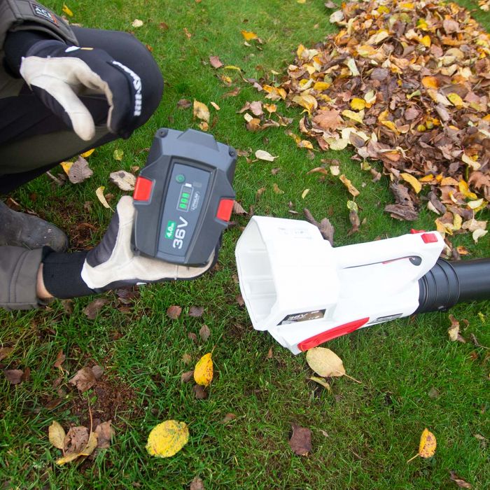 Lövblås, Lithium-ion 36V