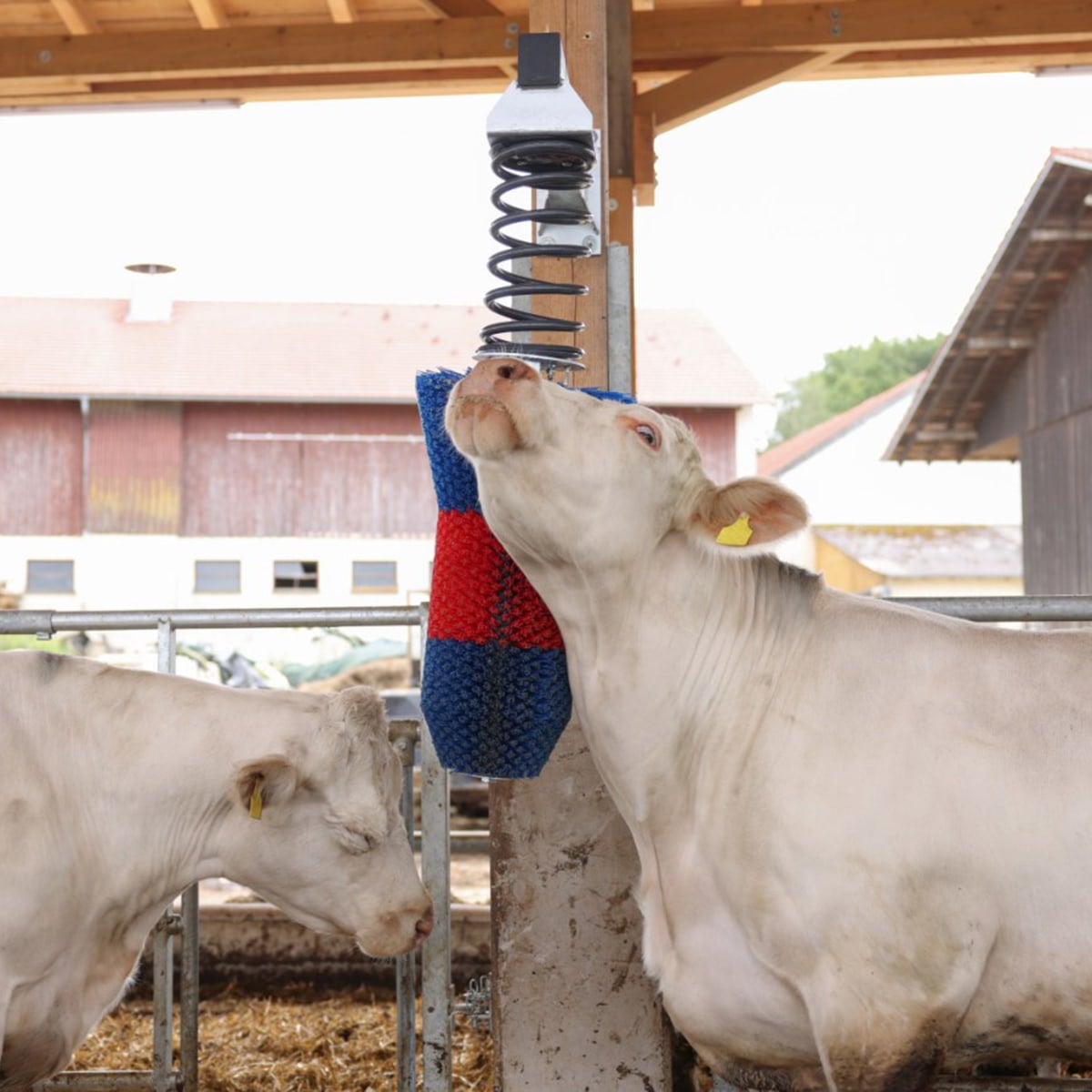 Koryktborste HappyCow FlexiSwing