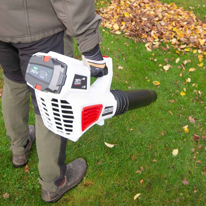 Lövblås, Lithium-ion 36V