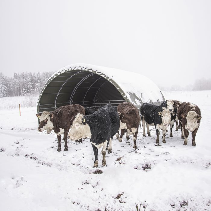 Vindskydd 6 x 6 m